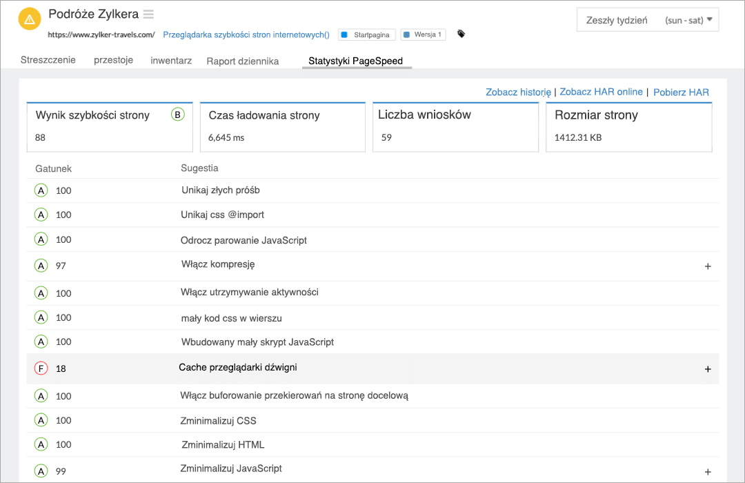 Image of passed and failed PageSpeed recommendations grouped by categories