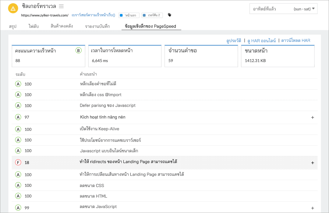 Image of passed and failed PageSpeed recommendations grouped by categories