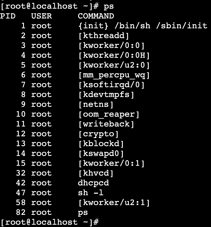 Fig 5: ps command output